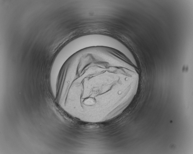 X0000112160405200909181452