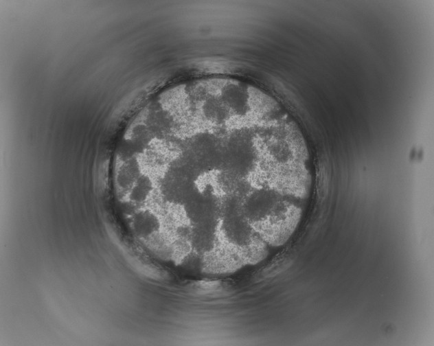 X0000112160406200909181452