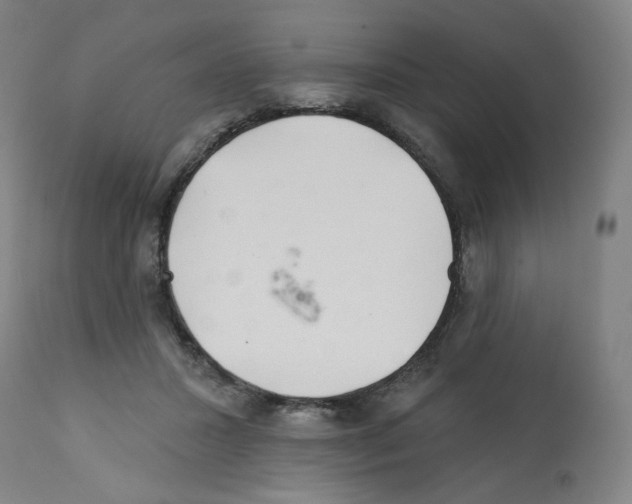 X0000112160407200909181452