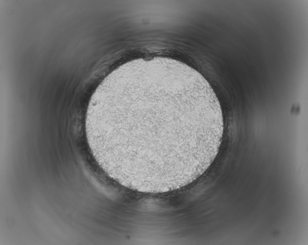 X0000112160408200909181452