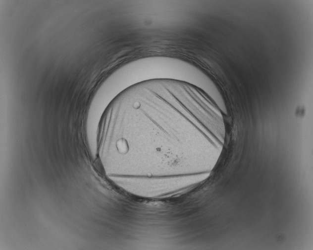 X0000112160409200909181452