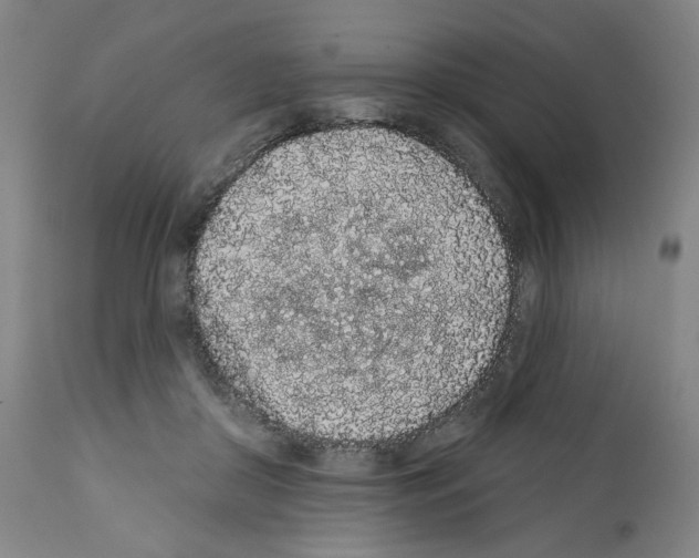 X0000112160410200909181452