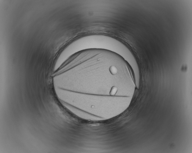 X0000112160411200909181452