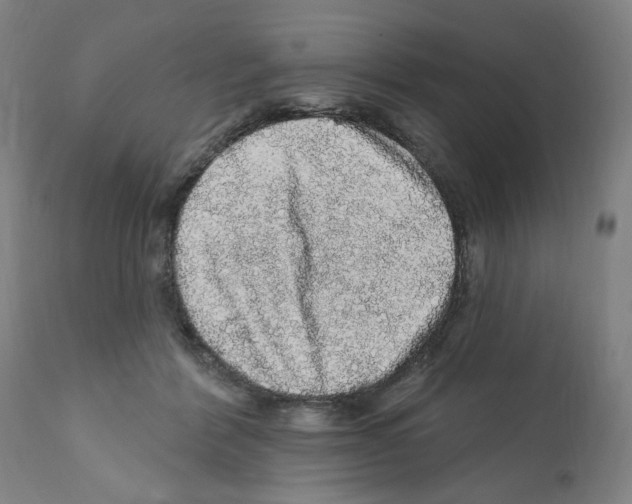 X0000112160412200909181452