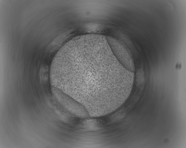 X0000112160413200909181452