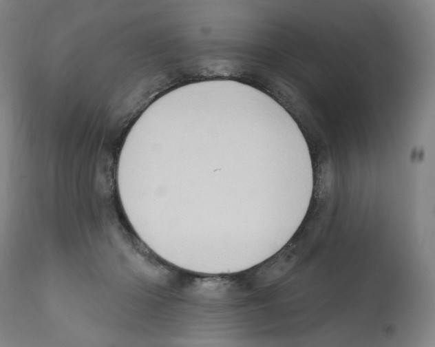 X0000112160414200909181452