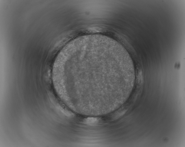 X0000112160418200909181452