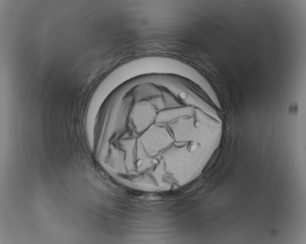 X0000112160419200909181452