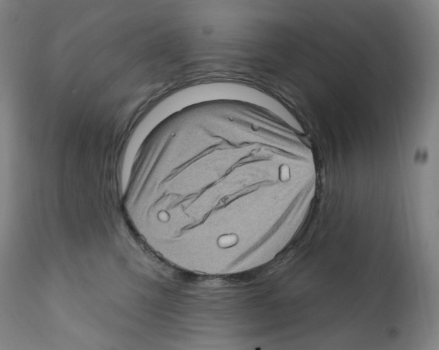 X0000112160423200909181452
