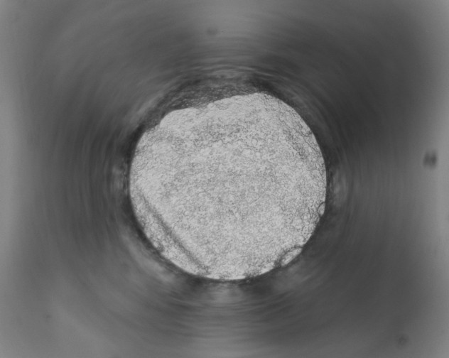 X0000112160424200909181452