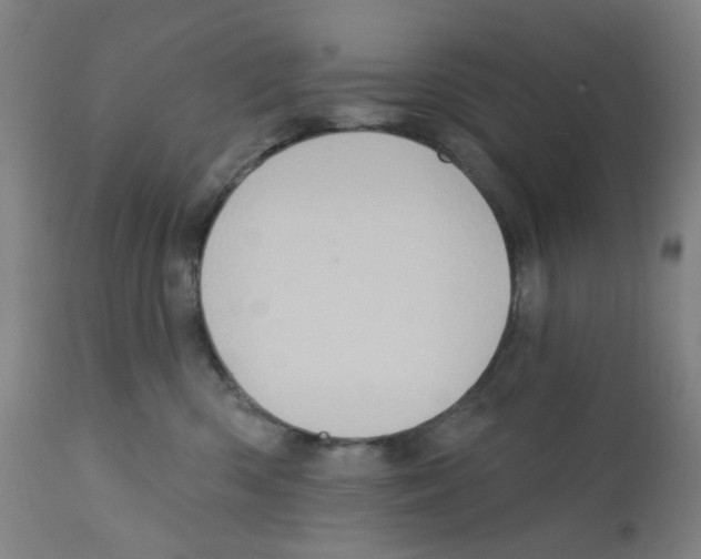 X0000112160426200909181452