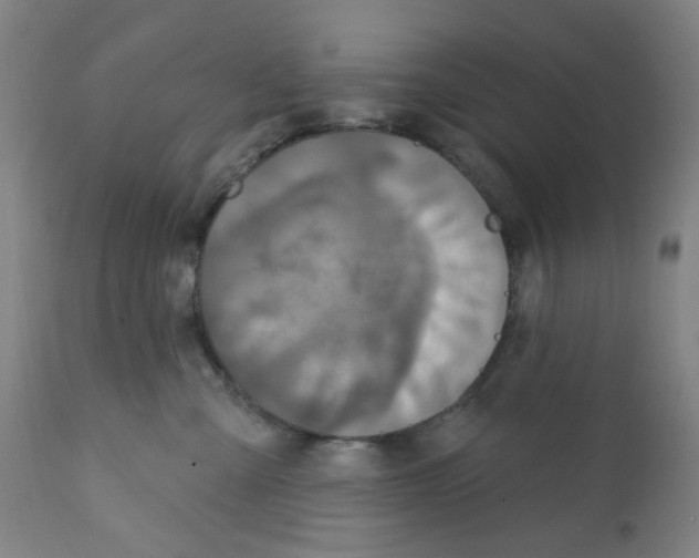 X0000112160427200909181452