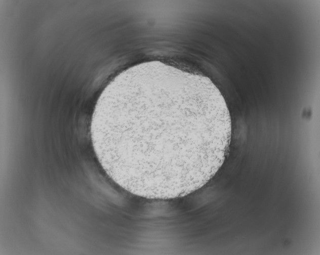 X0000112160428200909181452