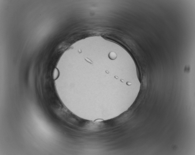 X0000112160429200909181452