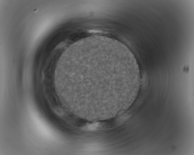 X0000112160430200909181452