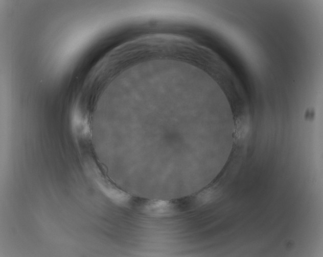 X0000112160431200909181452