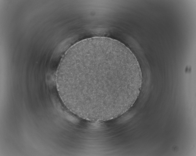 X0000112160432200909181452