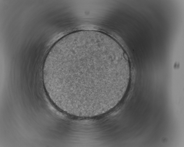 X0000112160433200909181451