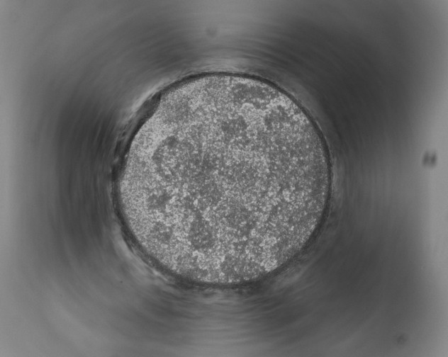 X0000112160434200909181451