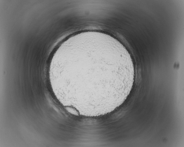 X0000112160435200909181451