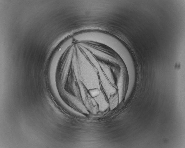 X0000112160436200909181451