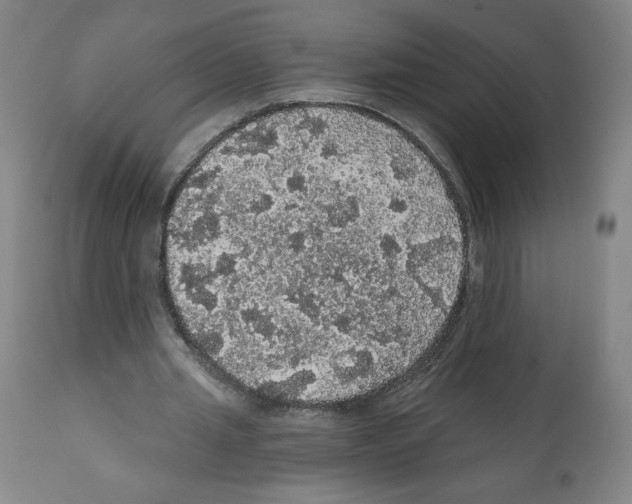 X0000112160437200909181451