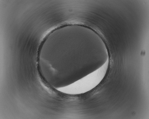 X0000112160438200909181451