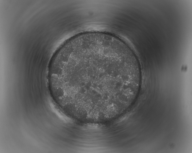 X0000112160439200909181451