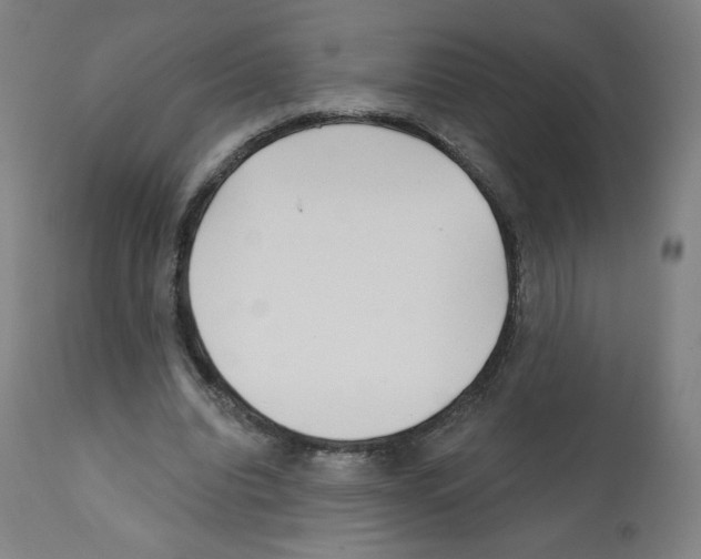 X0000112160440200909181451