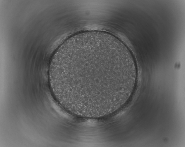 X0000112160441200909181451