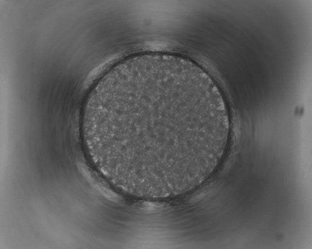 X0000112160442200909181451