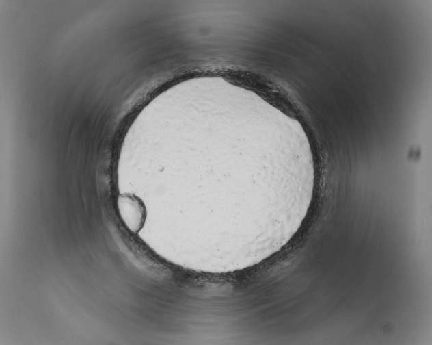 X0000112160443200909181451