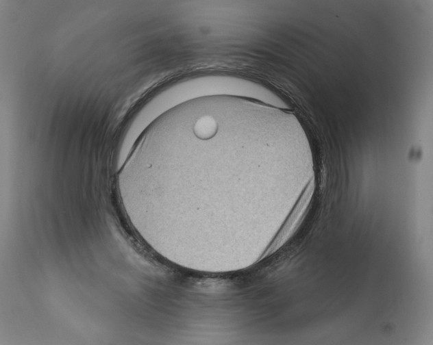 X0000112160444200909181451