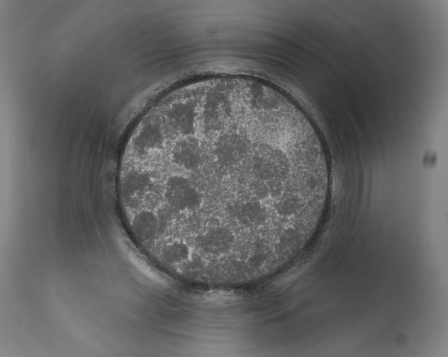 X0000112160445200909181451