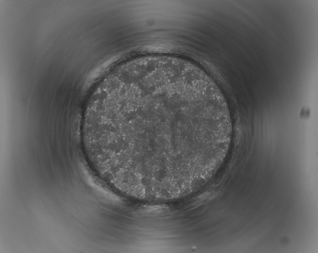 X0000112160446200909181451