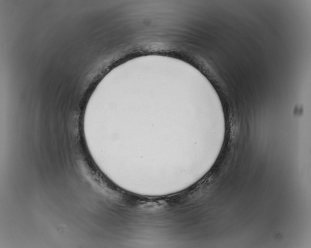 X0000112160447200909181451
