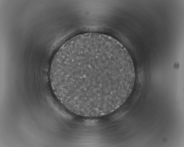 X0000112160450200909181451