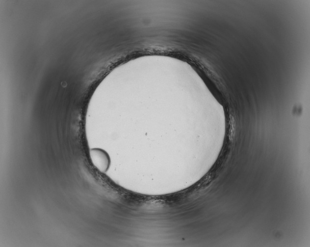 X0000112160451200909181451