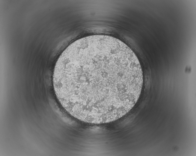 X0000112160453200909181451