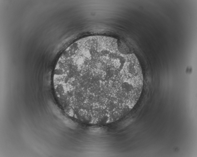 X0000112160454200909181451