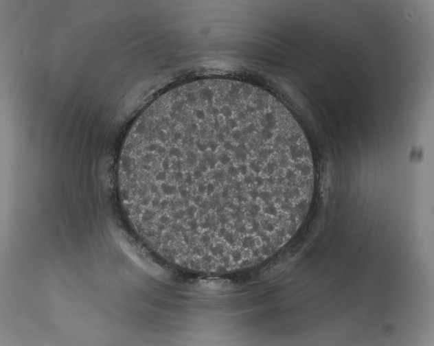 X0000112160455200909181451