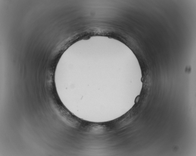 X0000112160456200909181451