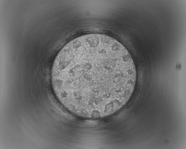 X0000112160457200909181451