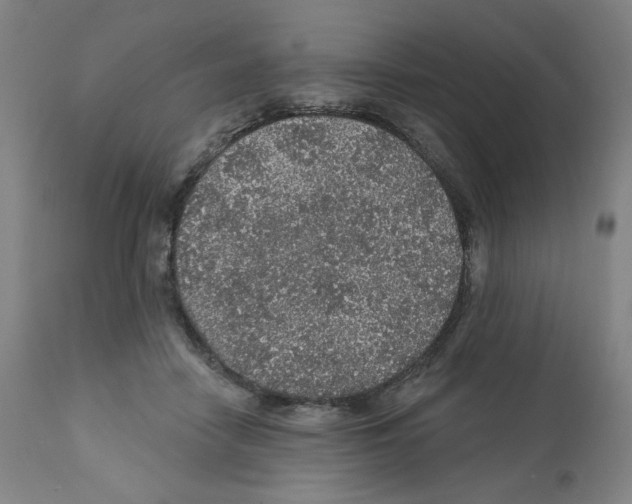 X0000112160458200909181451
