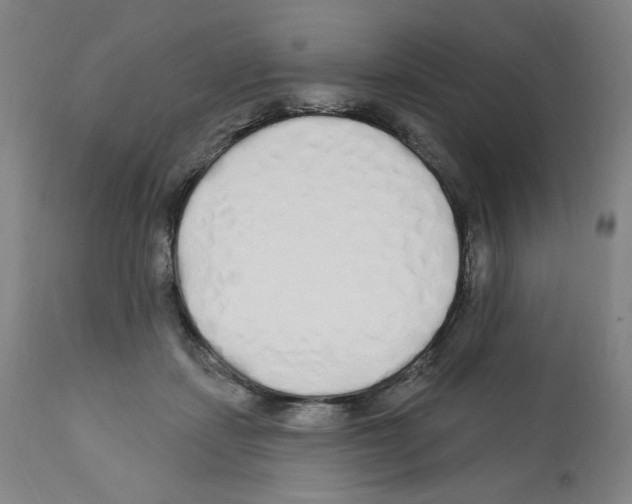 X0000112160459200909181451