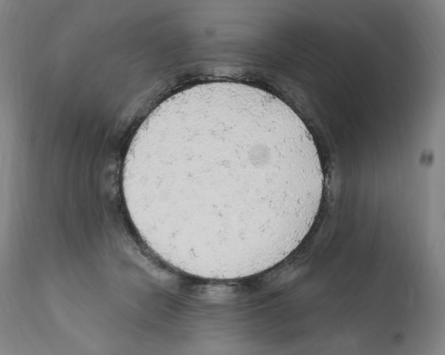 X0000112160462200909181451