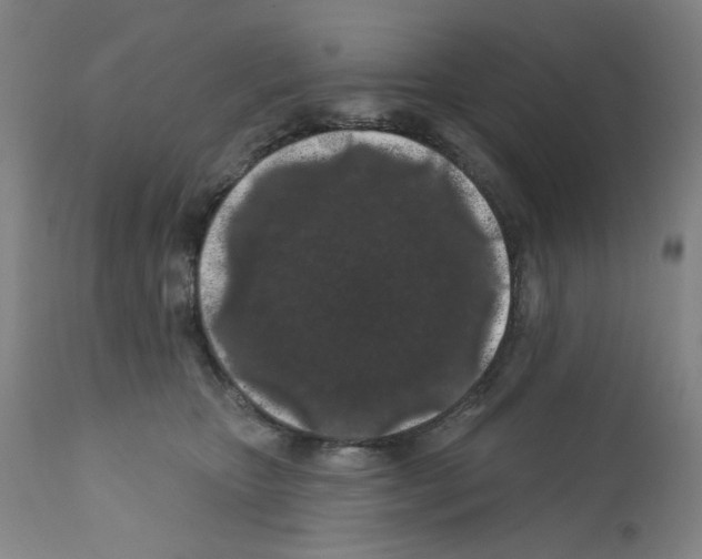X0000112160467200909181451