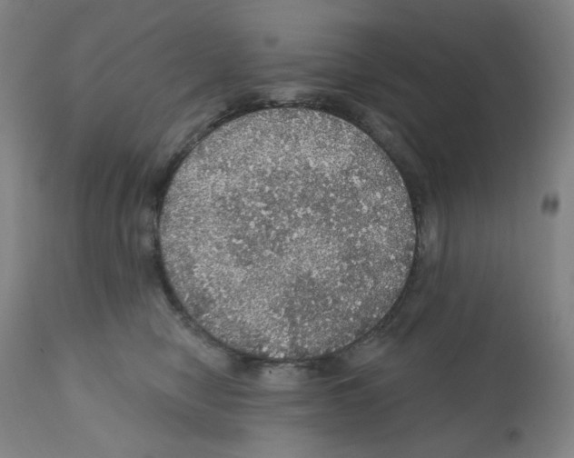 X0000112160470200909181451