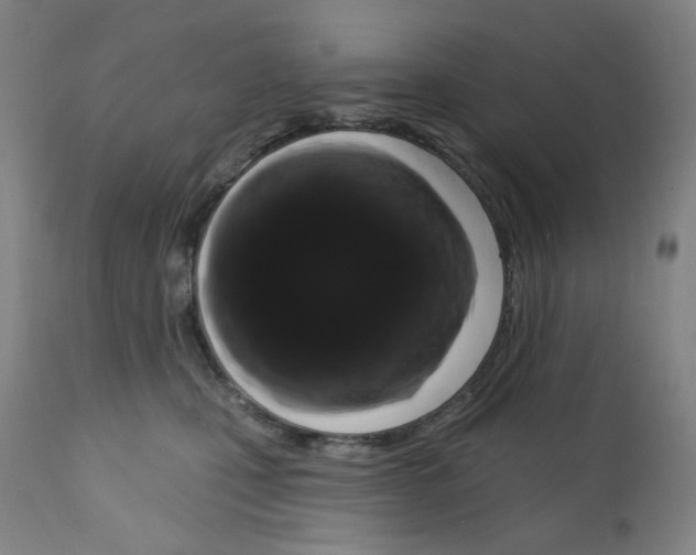 X0000112160471200909181451