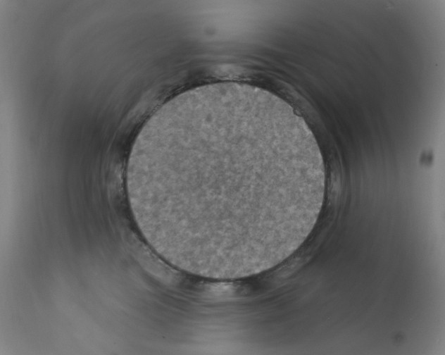 X0000112160473200909181452